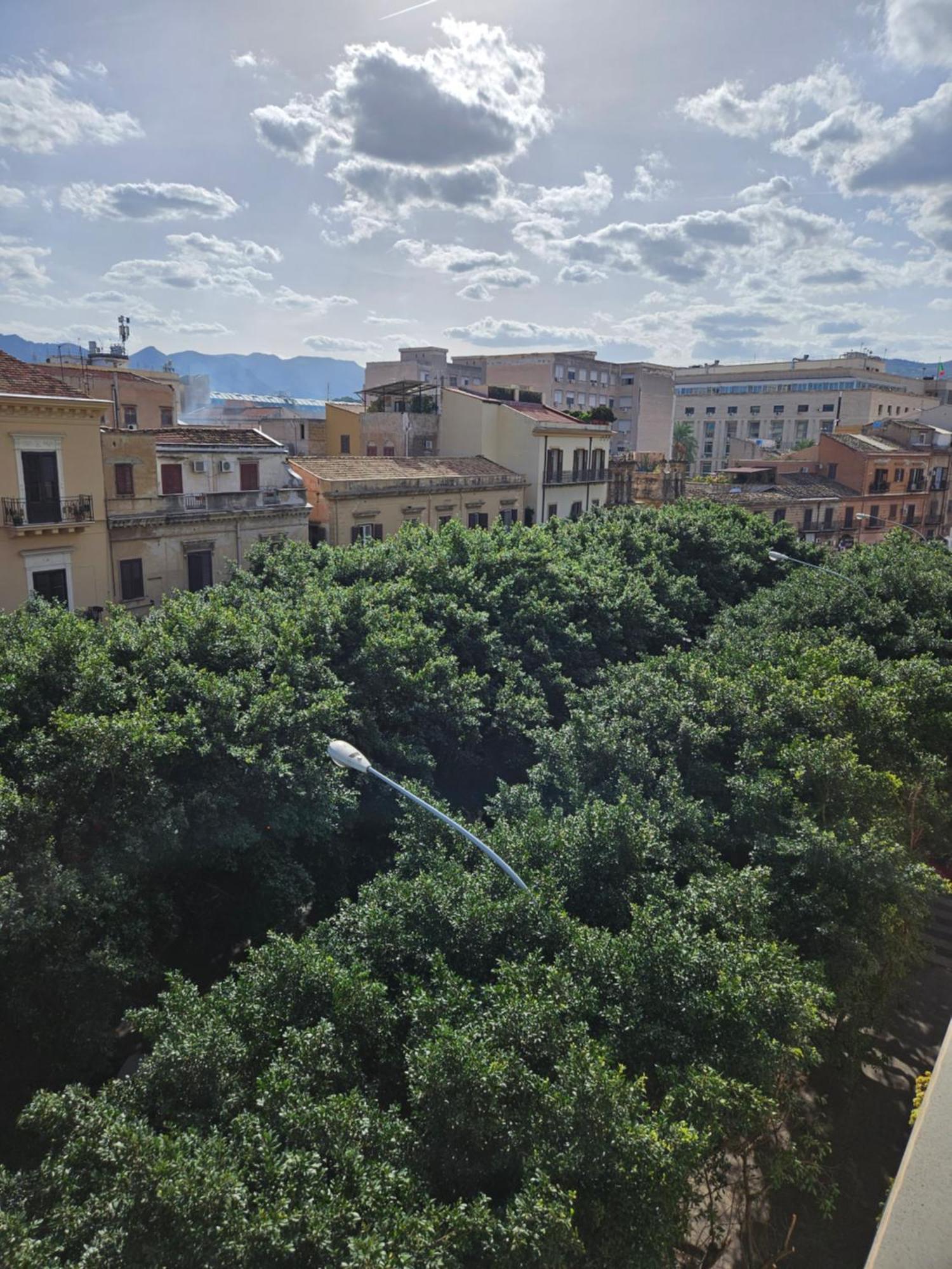 Terrazza Massimo Διαμέρισμα Παλέρμο Εξωτερικό φωτογραφία
